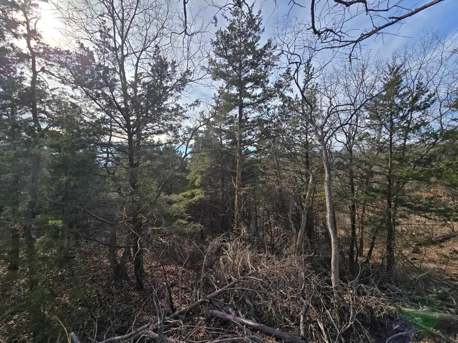 000 County Road 205 L, Wheatland, MO 65779 - Image #3