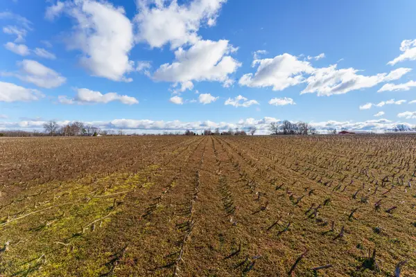 000 E Southernview Road, Ozark, MO 65721