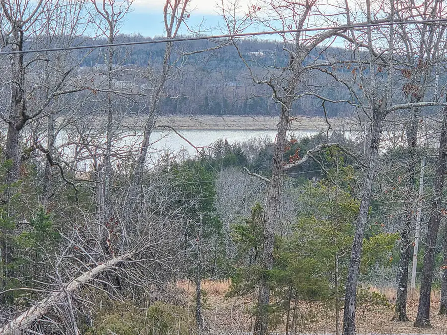 000 Hackamore Drive, Theodosia, MO 65761 - Image #3