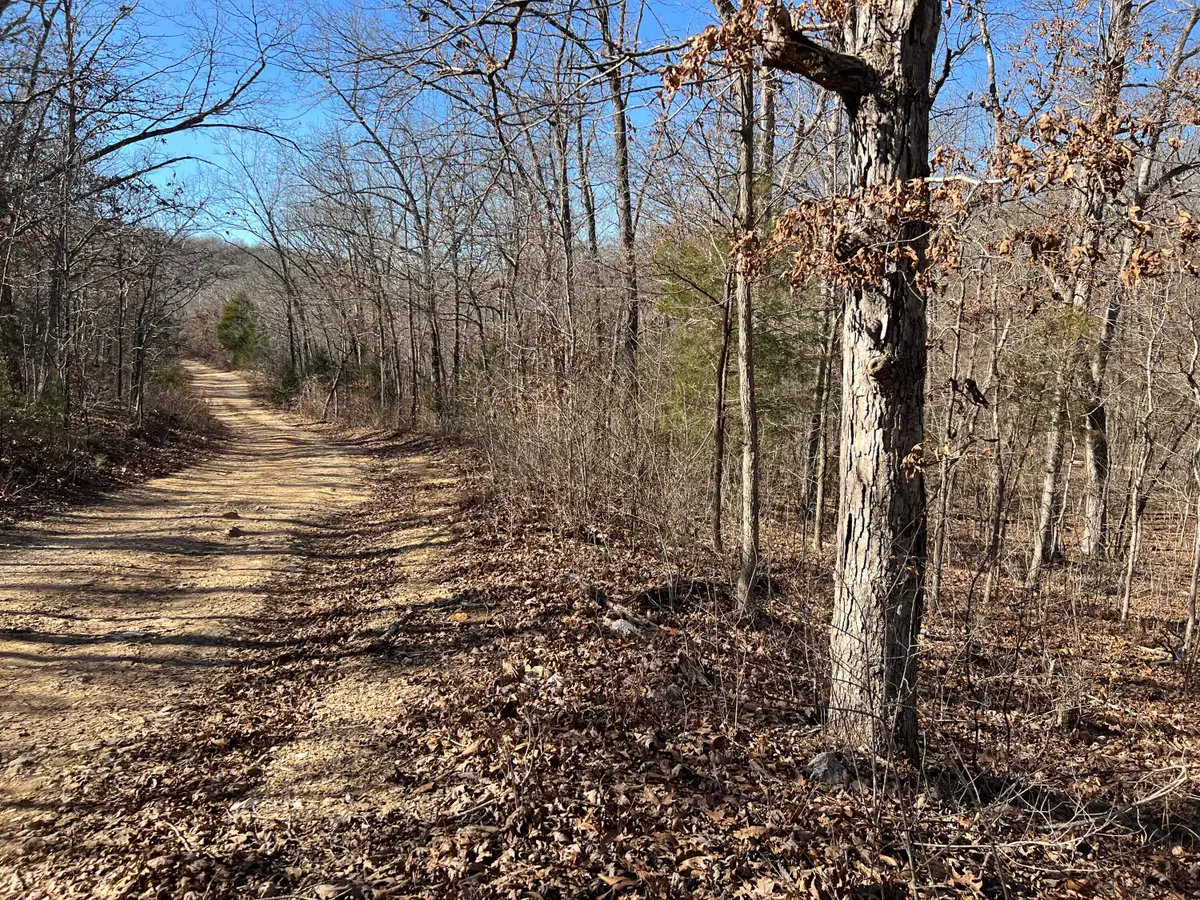 000 Pr Off 63 Hwy, Mammoth Spring, AR 72554 - Image #1