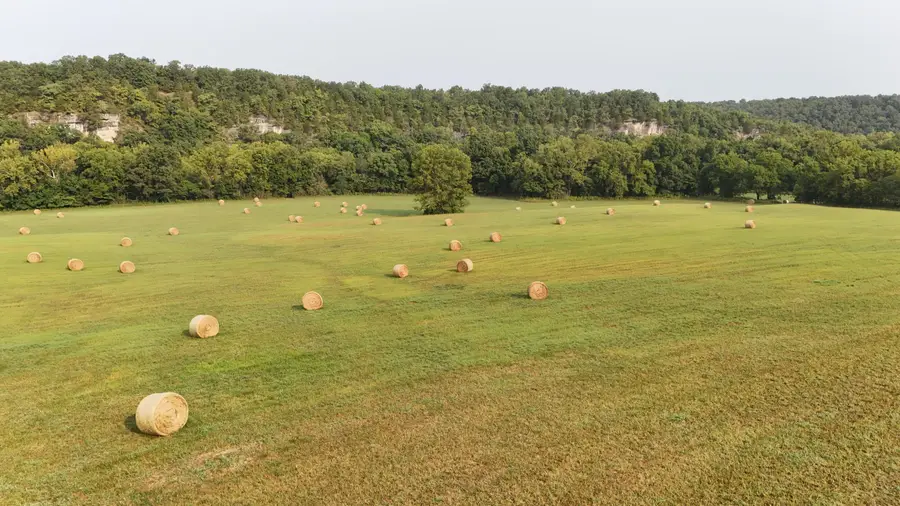 169 Freeman Bluff Trail, Lebanon, MO 65536 - Image #2