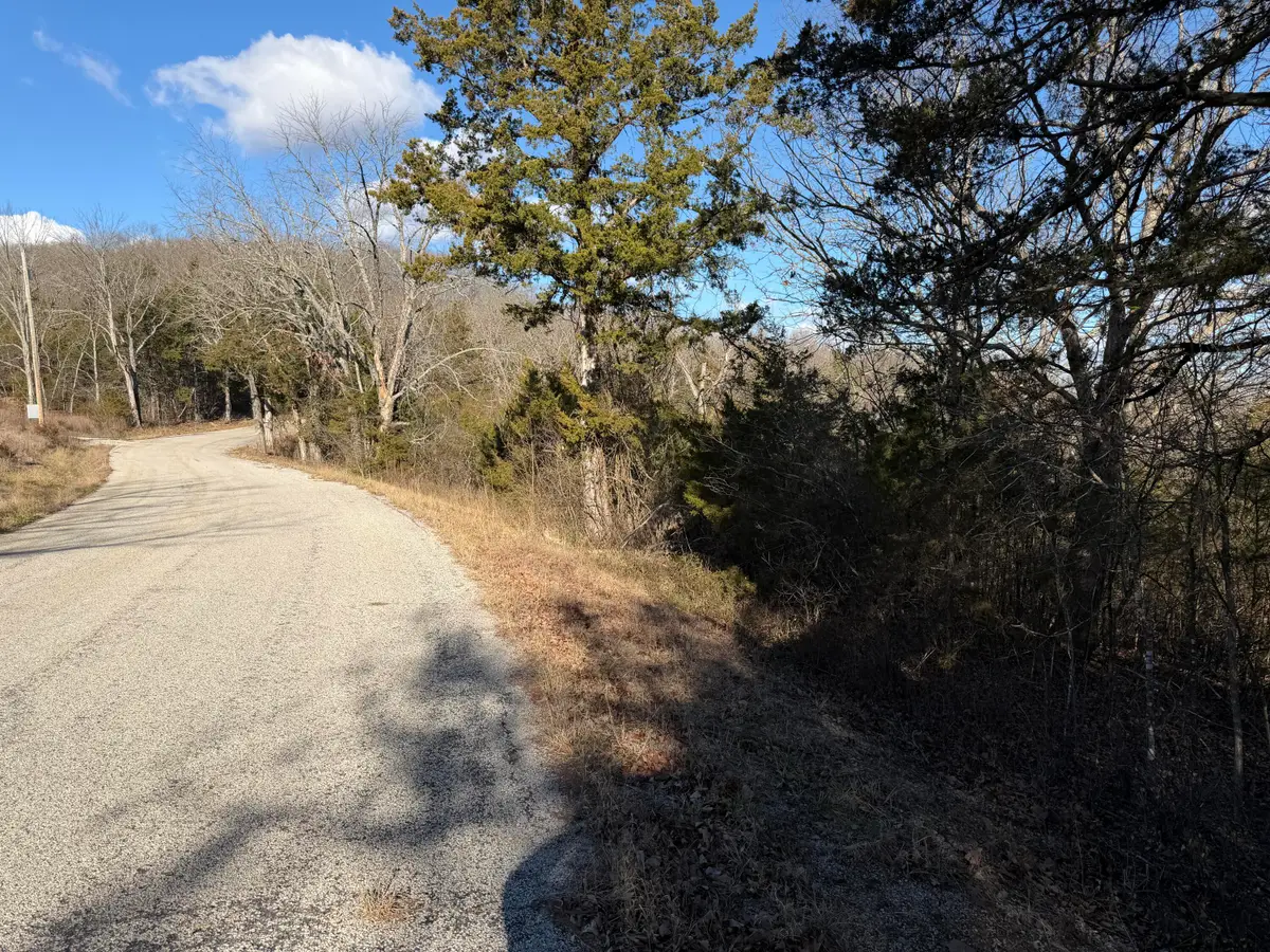 000 Roan Rd, Cape Fair, MO 65624 - Image #1