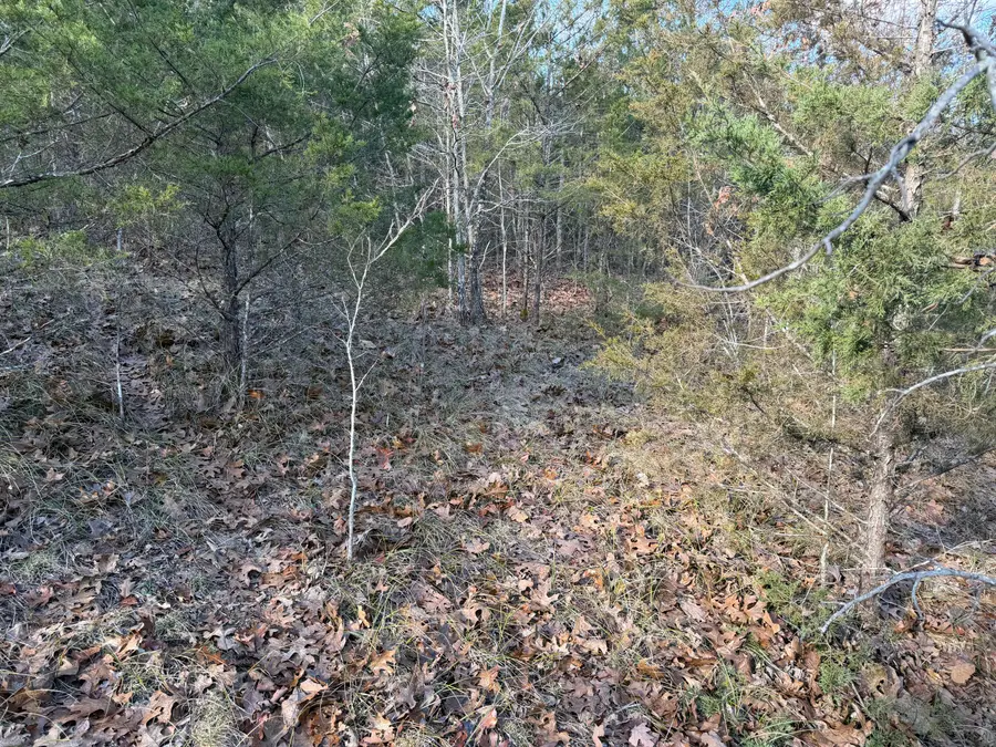 000 Roan Rd, Cape Fair, MO 65624 - Image #3