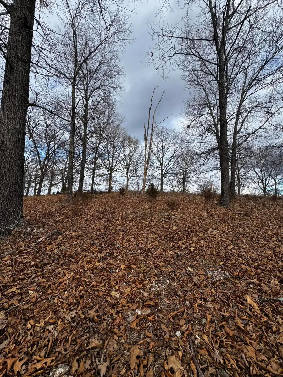 000 Panorama Drive, Cape Fair, MO 65624 - Image #2