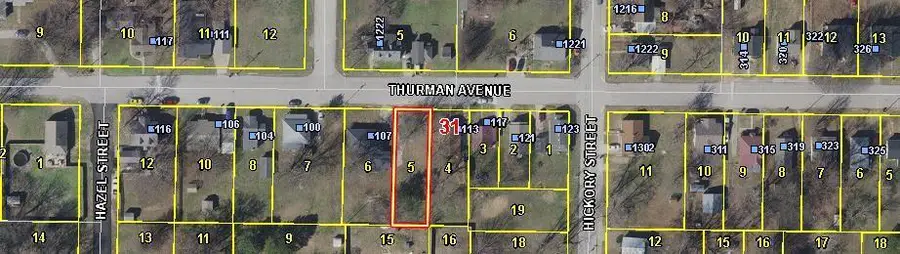 109 Thurman, Mount Vernon, MO 65712 - Image #3