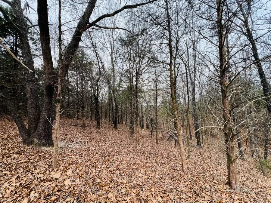 000 New Hope Road, Fordland, MO 65652 - Image #3