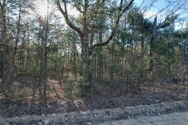 000 County Road 904, Theodosia, MO 65761