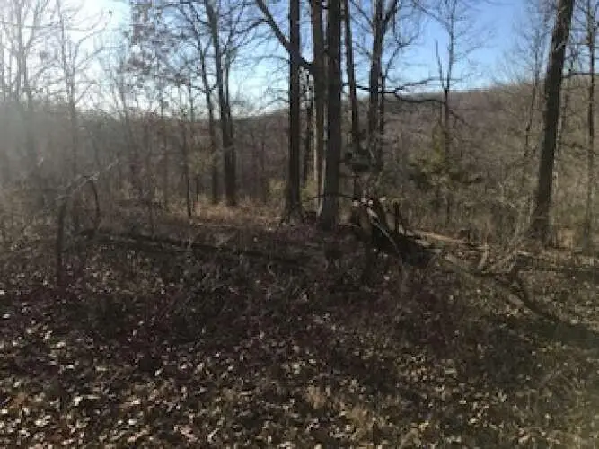 000 N State Highway 5, Mansfield, MO 65704 - Image #2