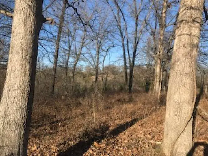 000 N State Highway 5, Mansfield, MO 65704 - Image #3