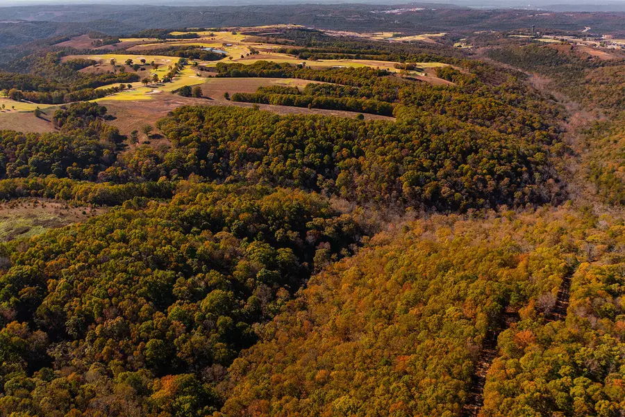 000 Tbd St Hwy Jj, Hollister, MO 65672 - Image #2