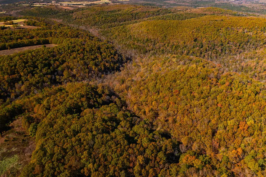 000 Tbd St Hwy Jj, Hollister, MO 65672 - Image #3