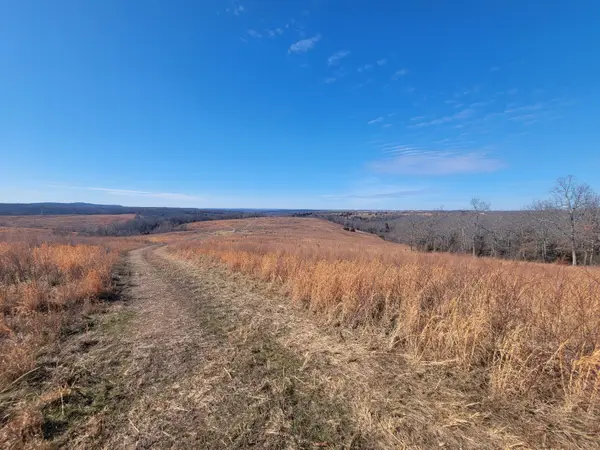 000 State Highway 5 South, Gainesville, MO 65655