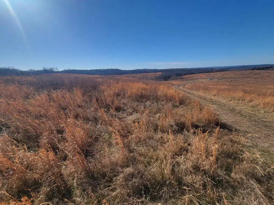 000 State Highway 5 South, Gainesville, MO 65655 - Image #2