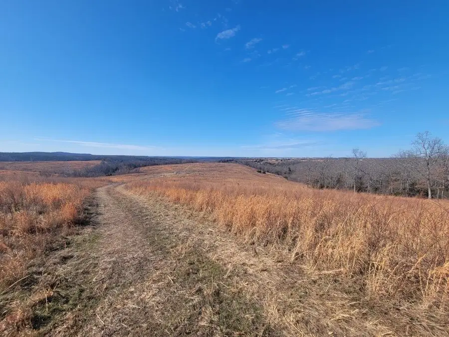 000 State Highway 5 South, Gainesville, MO 65655 - Image #3