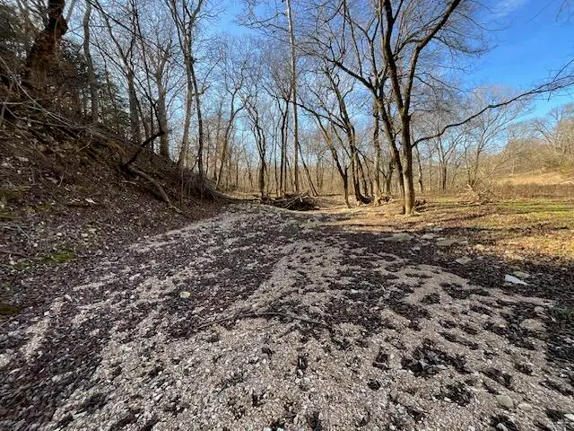 594 County Road 873, Thornfield, MO 65762 - #3