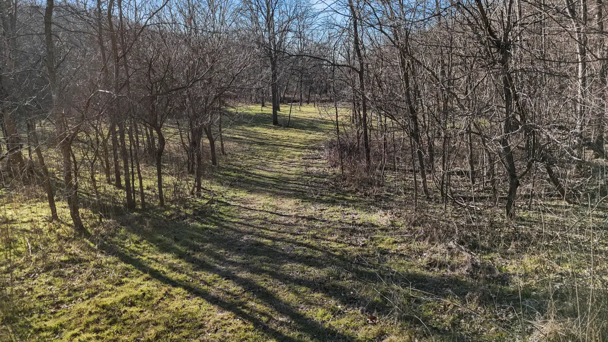 Xoxo Flag Springs Road, Powell, MO 65730 - #1