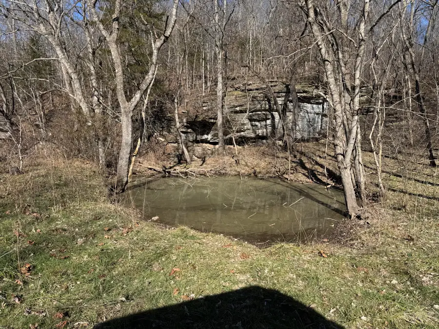 Xoxo Flag Springs Road, Powell, MO 65730 - #2