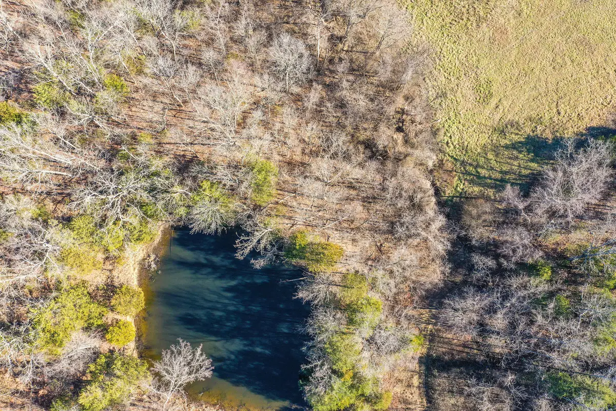 9068 County Road, Green Forest, AR 72638 - Image #1