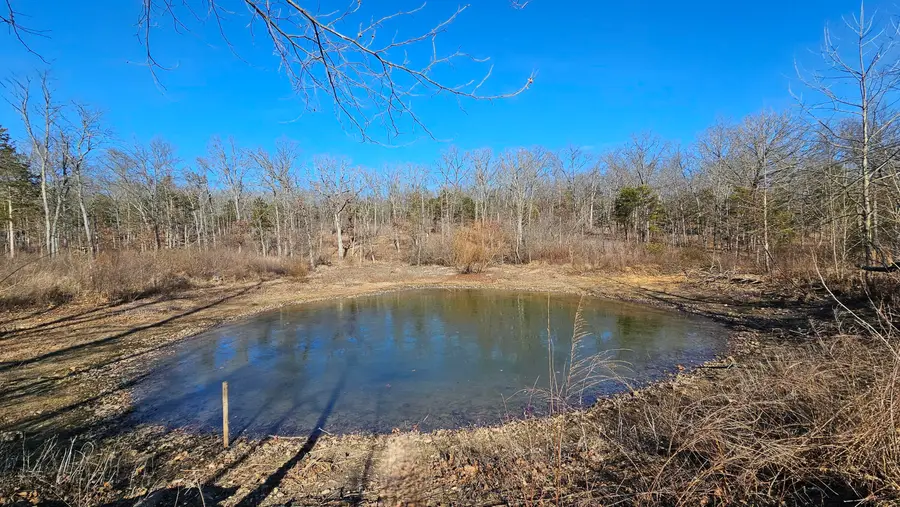 65 Gunslinger Drive, Brixey, MO 65618 - Image #2