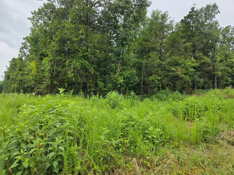 000 Saratoga/elm, Shell Knob, MO 65747 - Image #2