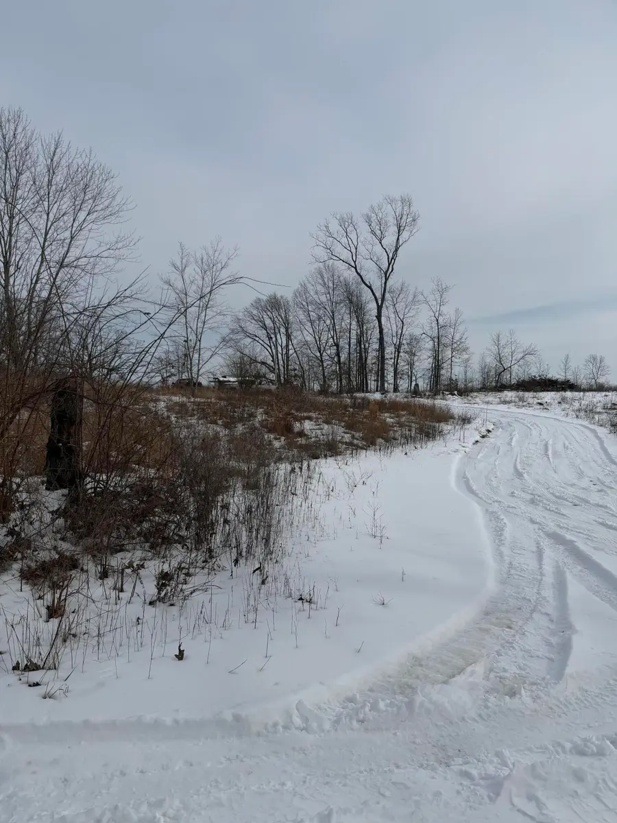 0000 County Road 3500, Mountain View, MO 65548 - #2