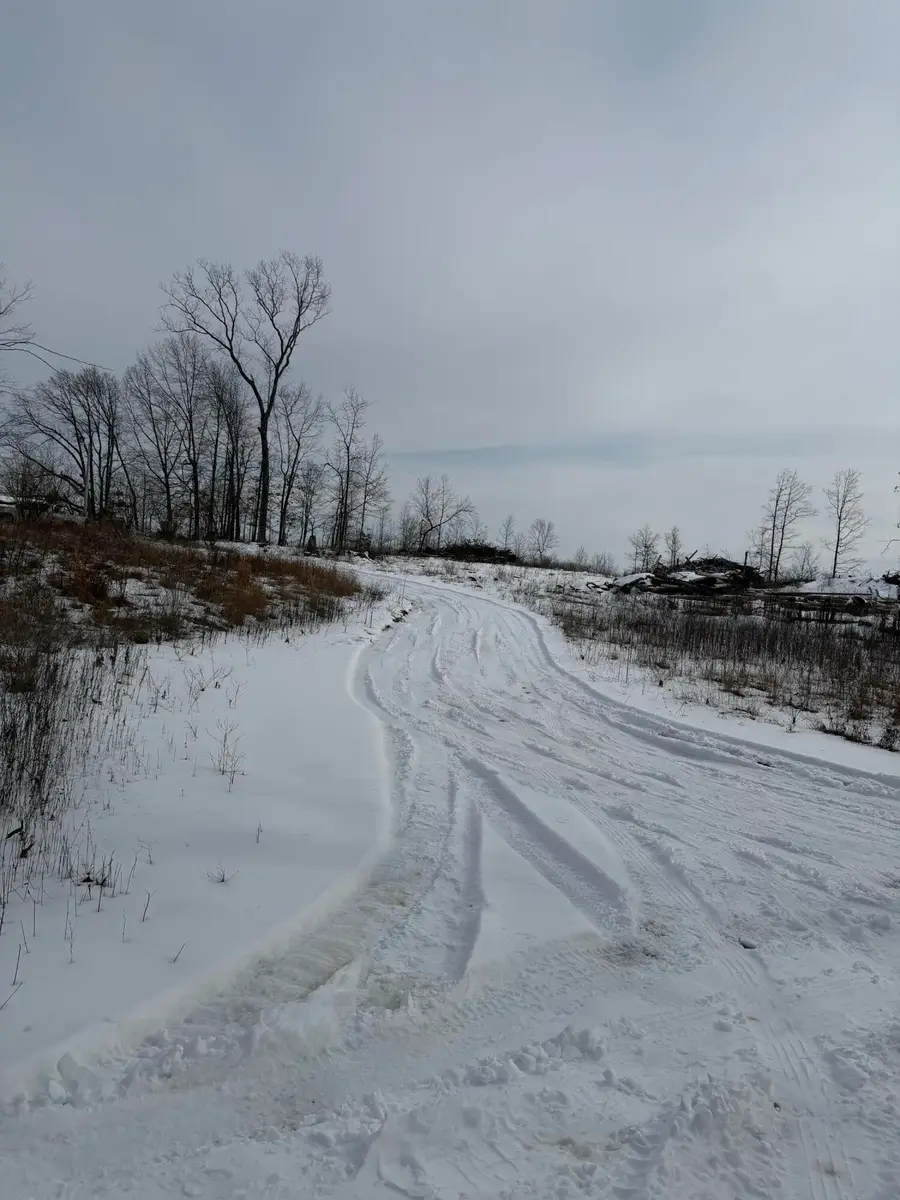 0000 County Road 3500, Mountain View, MO 65548 - #3