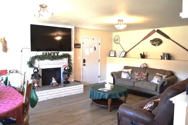 360 Cathy Street, Branson, MO 65616