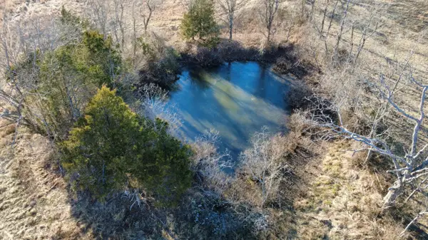 000 County Road 417, Alton, MO 65606