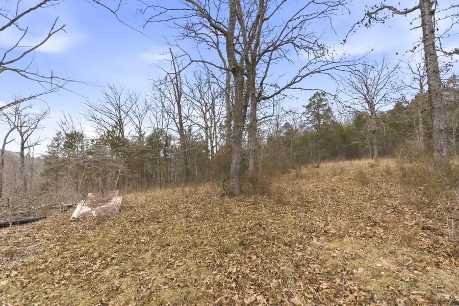 Us Higway 160, Forsyth, MO 65653 - Image #2