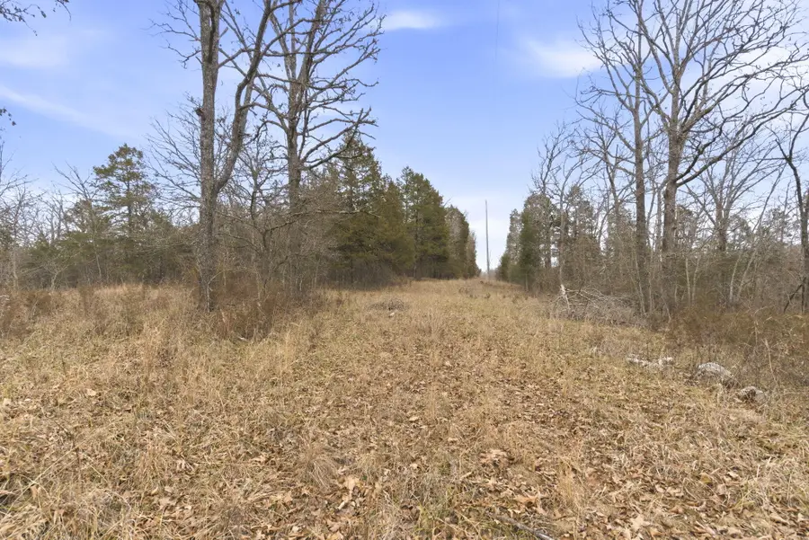 Us Higway 160, Forsyth, MO 65653 - Image #3