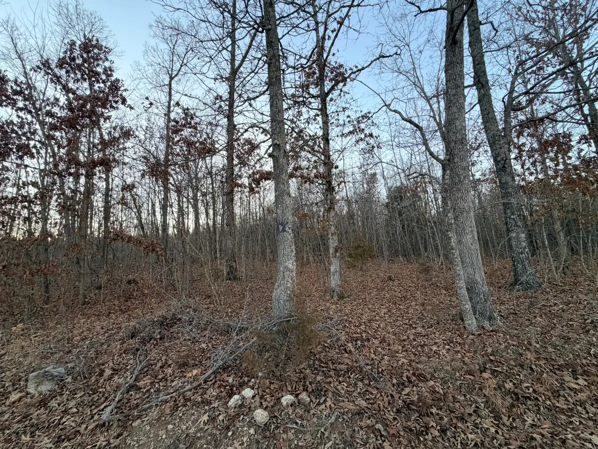 000 County Road 204, Alton, MO 65606 - #1