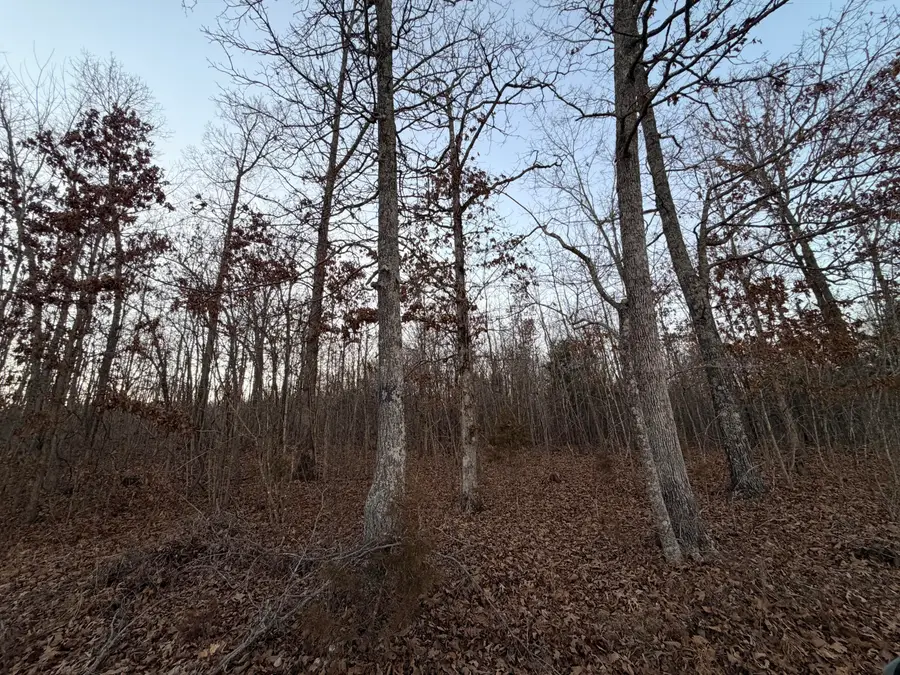 000 County Road 204, Alton, MO 65606 - #3