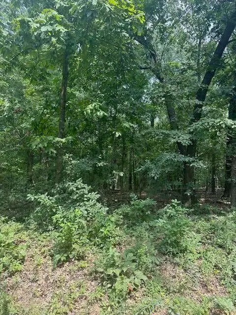 000 Private Road Cc-200, Alton, MO 65606