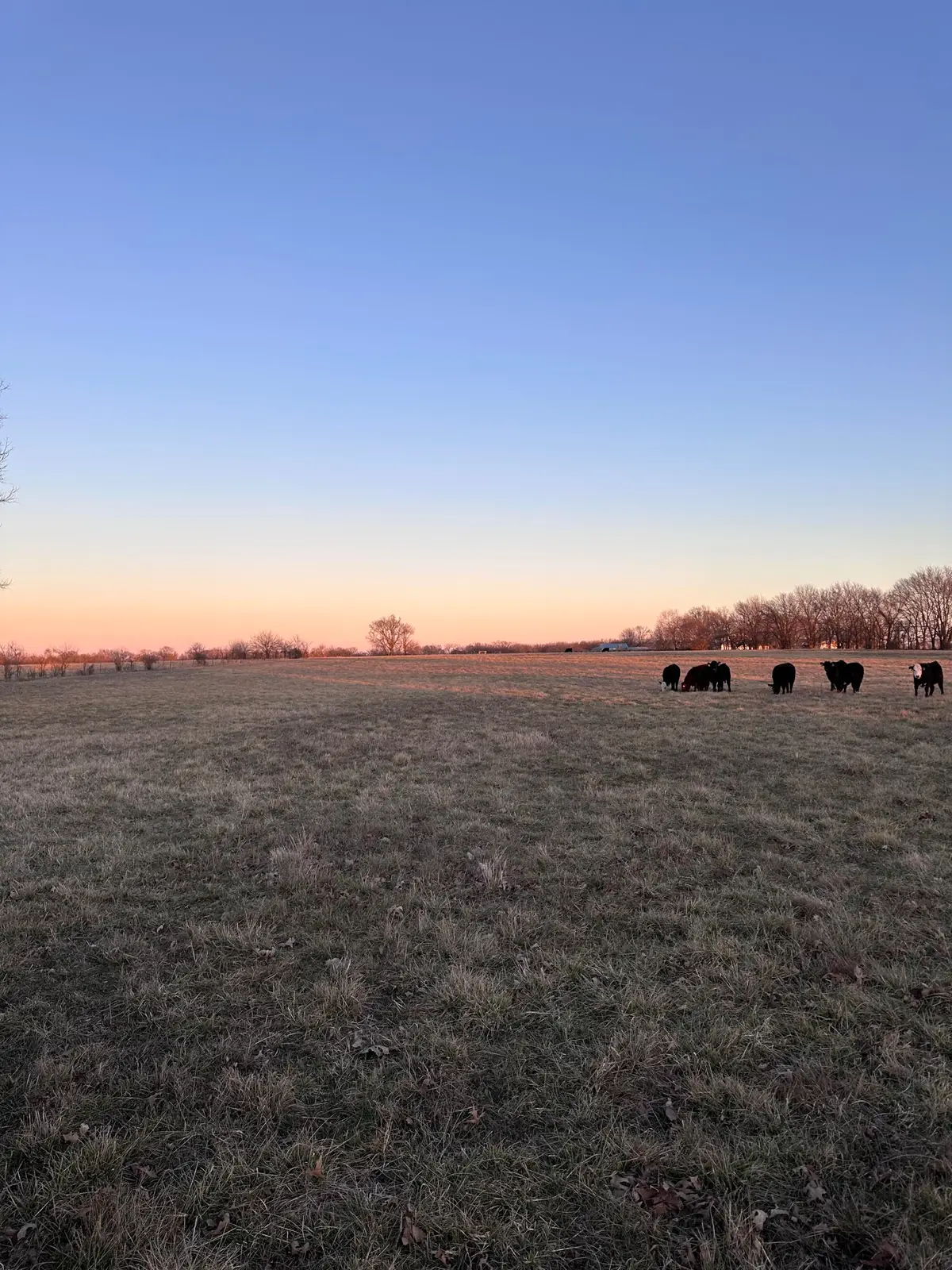 000 Civil War Road, Carthage, MO 64836 - #1