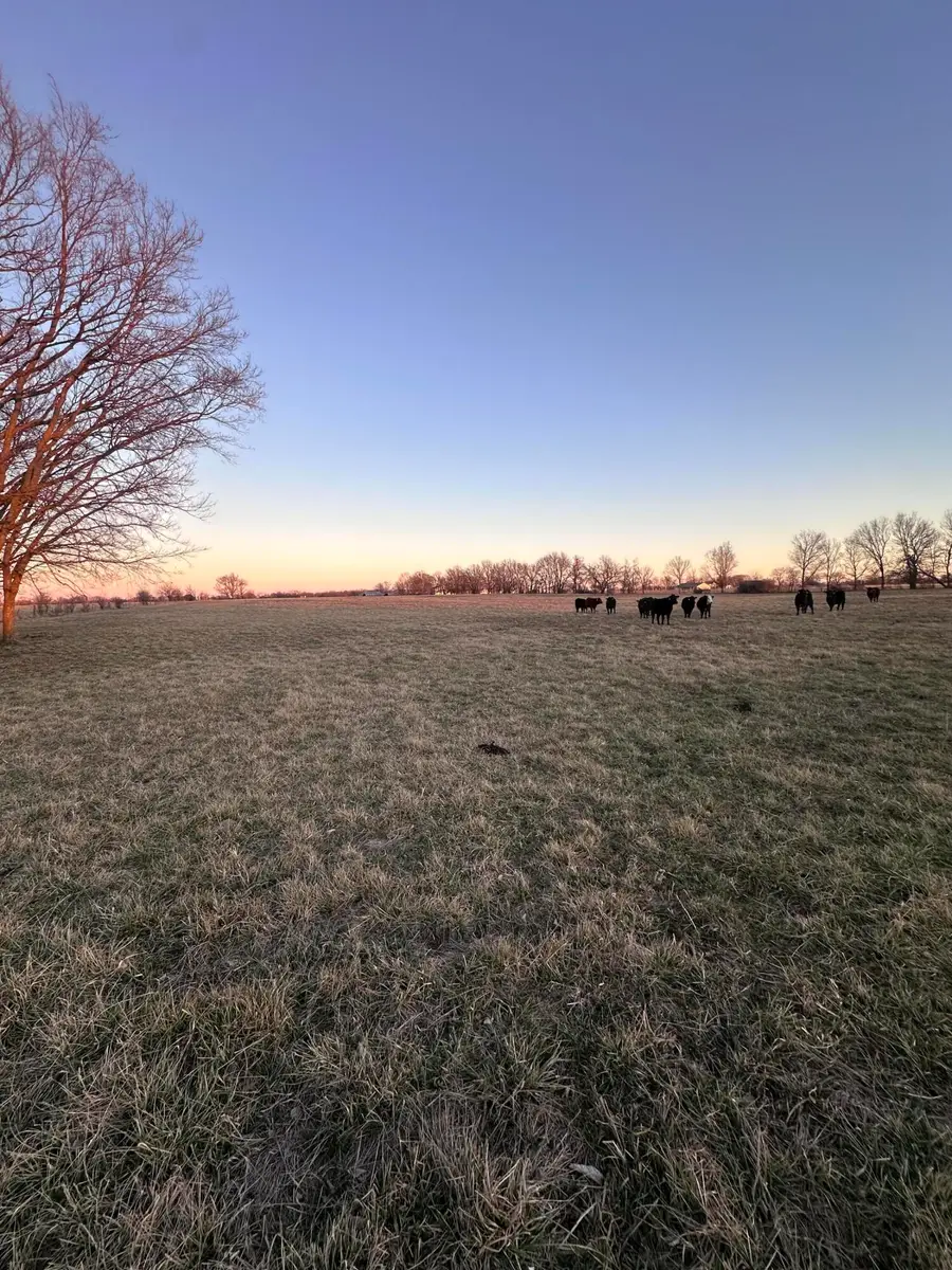 000 Civil War Road, Carthage, MO 64836 - #3