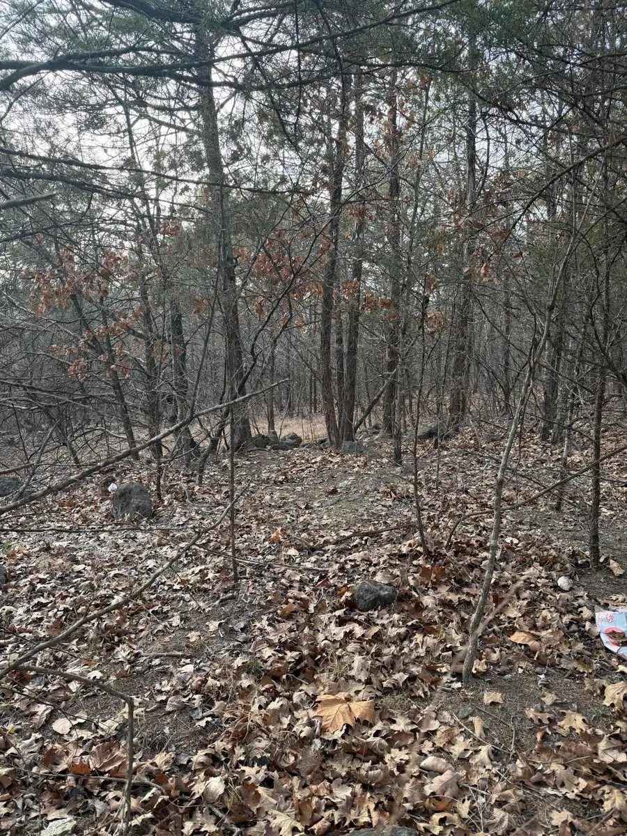 000 Arlene, Branson, MO 65616 - Image #2