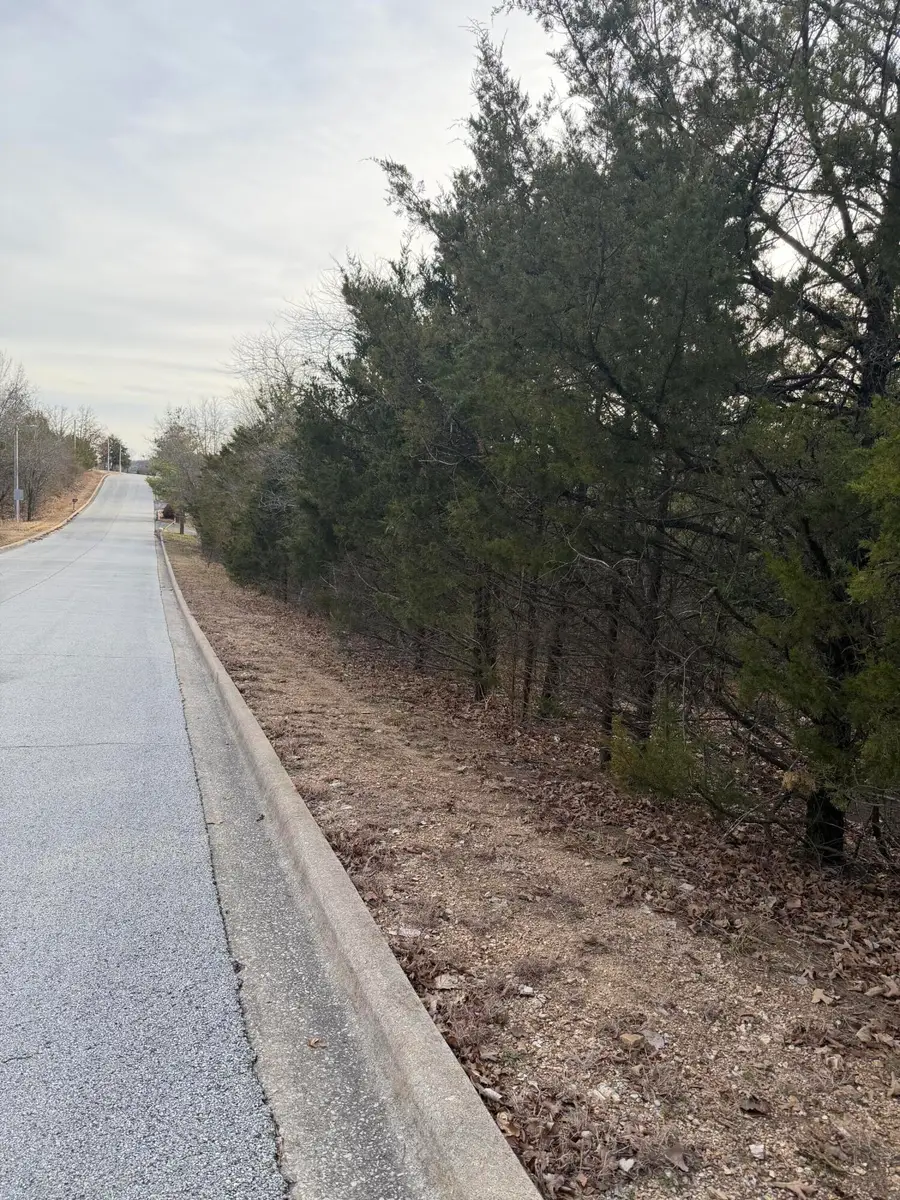 000 Arlene, Branson, MO 65616 - Image #3