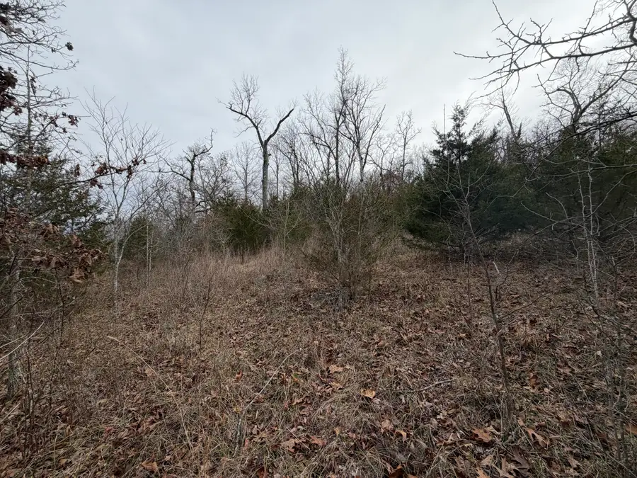000 Tall Timber Circle, Forsyth, MO 65653 - Image #3