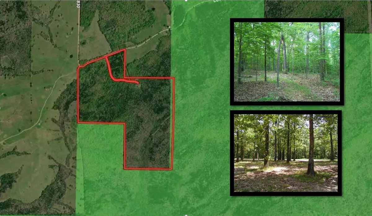 000 County Road 830, Thornfield, MO 65762 - Image #1