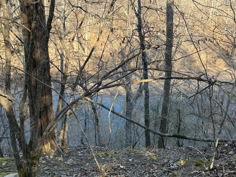 000 S 139th Road, Bolivar, MO 65613 - #3