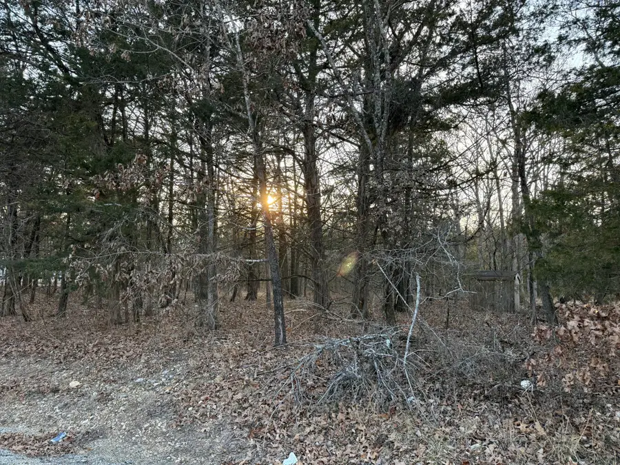 000 County Road 203, Wheatland, MO 65779 - Image #2