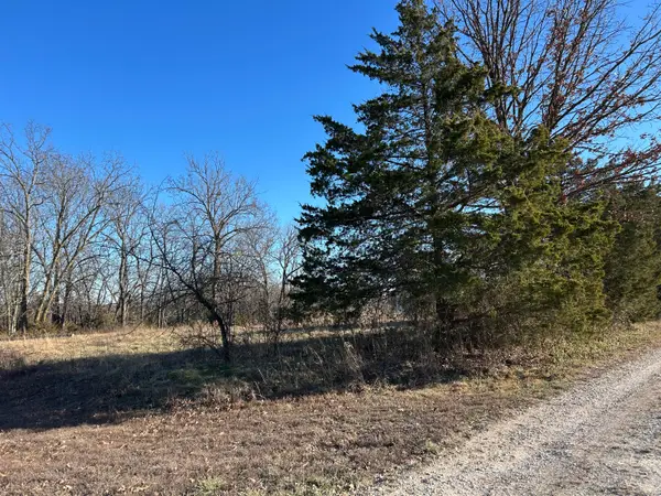 000 E Dade 22 Road, Arcola, MO 65603