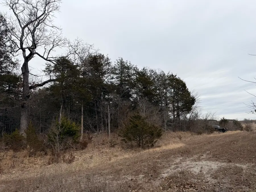 000 Rail Hollow Ranch, Theodosia, MO 65761 - Image #2