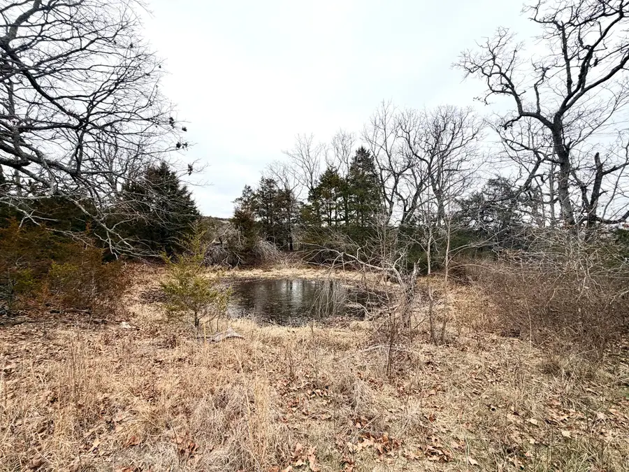 000 Rail Hollow Ranch, Theodosia, MO 65761 - Image #3