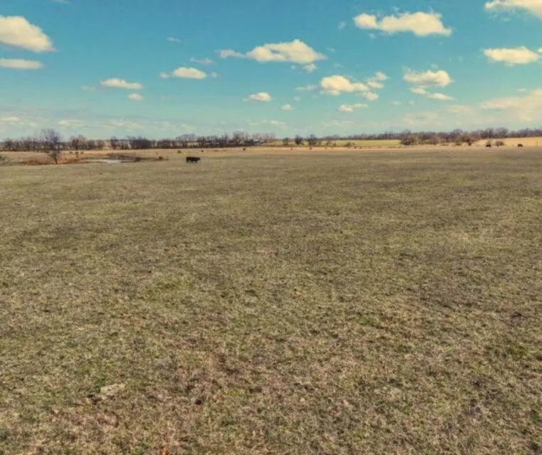 Lot 1 Lambeth Road, Marionville, MO 65705 - Image #3