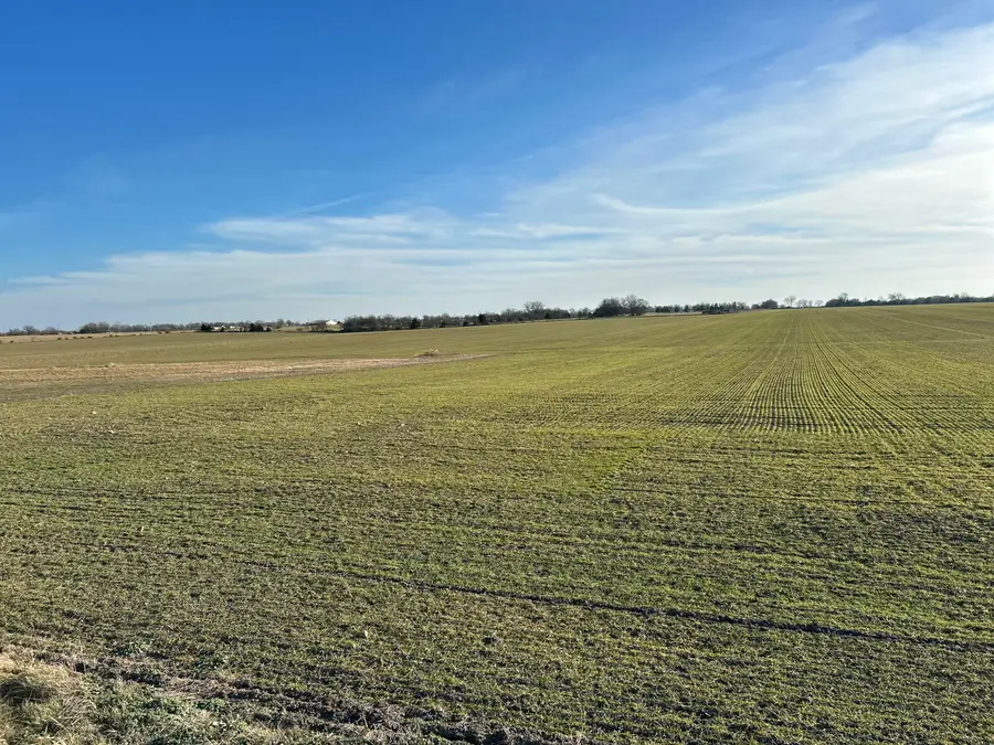 000 Cherry Road, Diamond, MO 64840 - #2