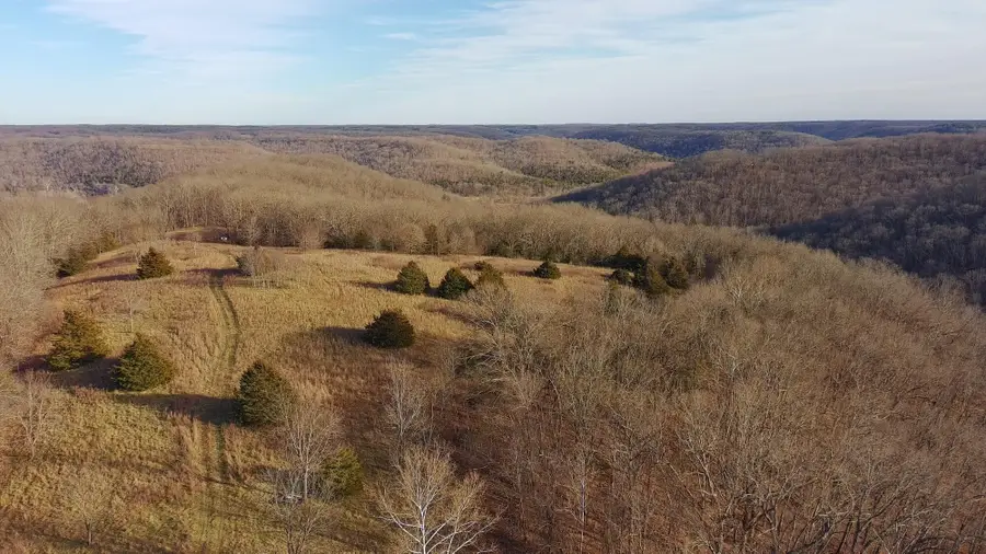 406 Red Bridge Rd, Ozark, MO 65721 - Image #2