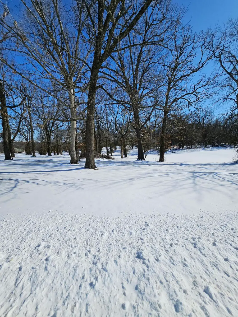 000 Redbud Place, Monett, MO 65708 - Image #3