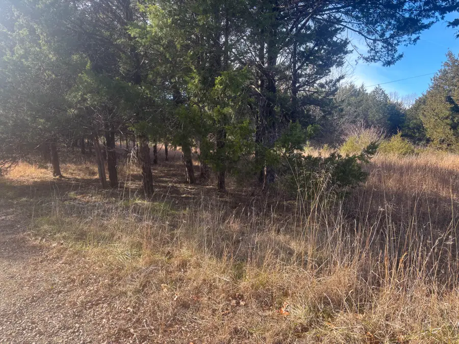 53 Della Rose Lane, Gainesville, MO 65655 - Image #2