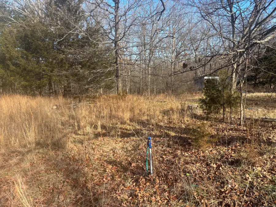 53 Della Rose Lane, Gainesville, MO 65655 - Image #3